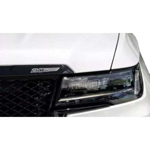 20th Anniversary Edition V-series Grille Decal